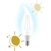 image:imageGE LED CA11 Dusk to Dawn LED Light Bulbs Automatic OnOff Outdoor Security Lights Soft White E26 Medium Base 2 PackDaylight