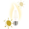 image:imageGE LED CA11 Dusk to Dawn LED Light Bulbs Automatic OnOff Outdoor Security Lights Soft White E26 Medium Base 2 PackSoft White